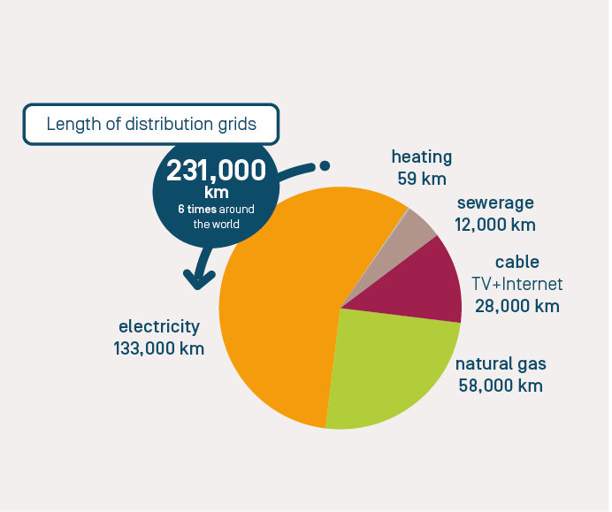 Infographic Key figures lenght of distribution grids
